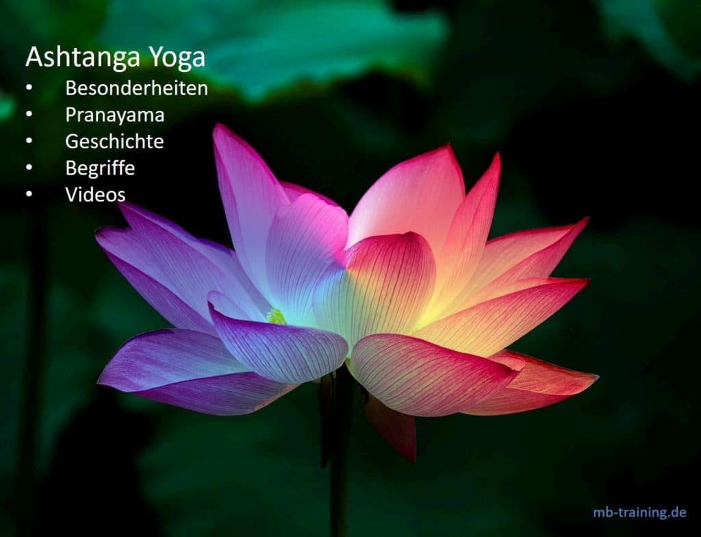 Ashtanga Yoga und die Besonderheiten, Serien, Geschichte dieser Yoga-Art. Begriffe: Mantra, Pranayama, Drishti, Bandhas und Vinyasa.